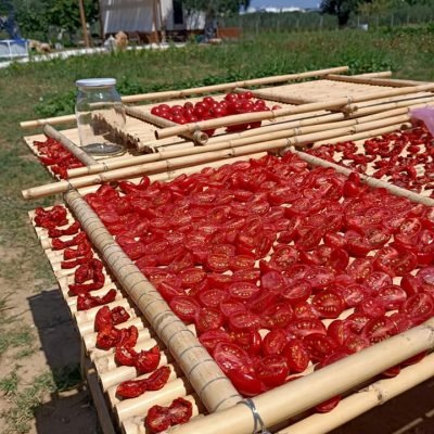 117659488_10223635796507159_788489548325873605_n